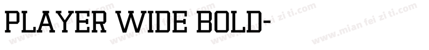 Player Wide Bold字体转换